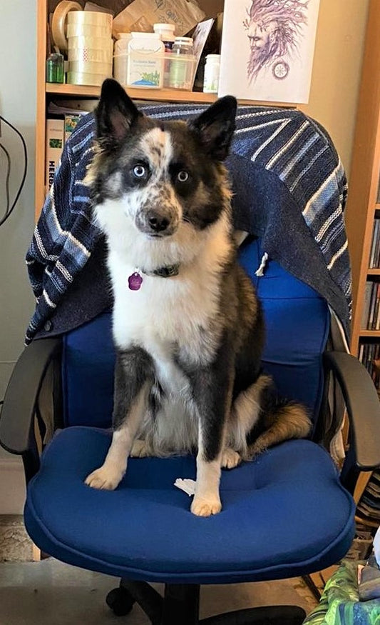 Aoife - the Office Morale Coordinator